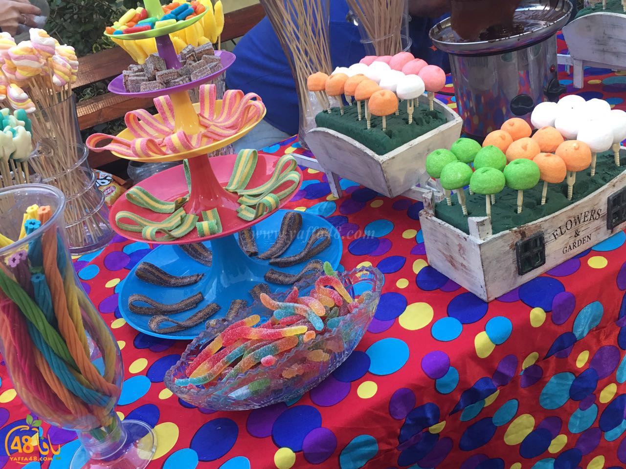 nohod shabiba 7afl om (15).jpg